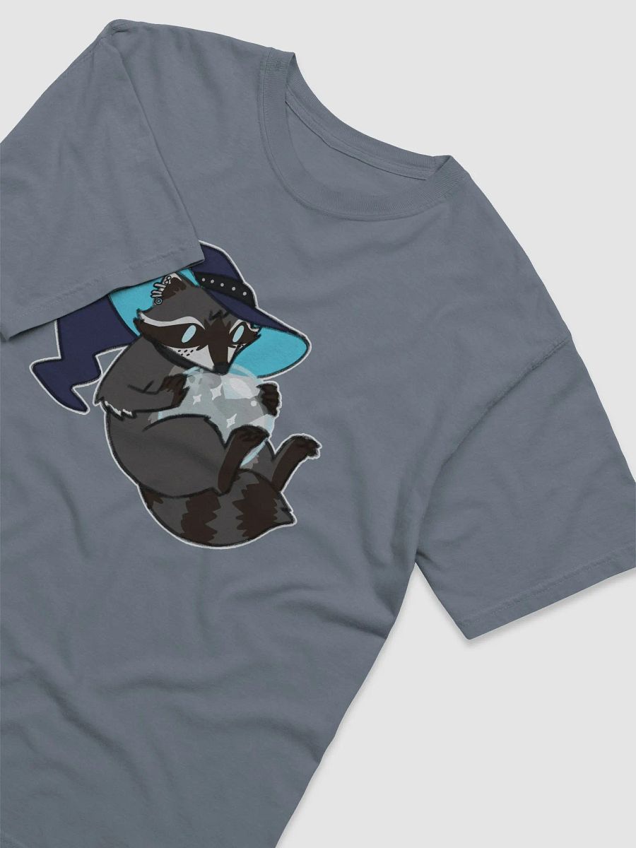 Raccoon Fortune product image (16)