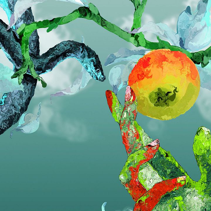 bird's eye product image (2)