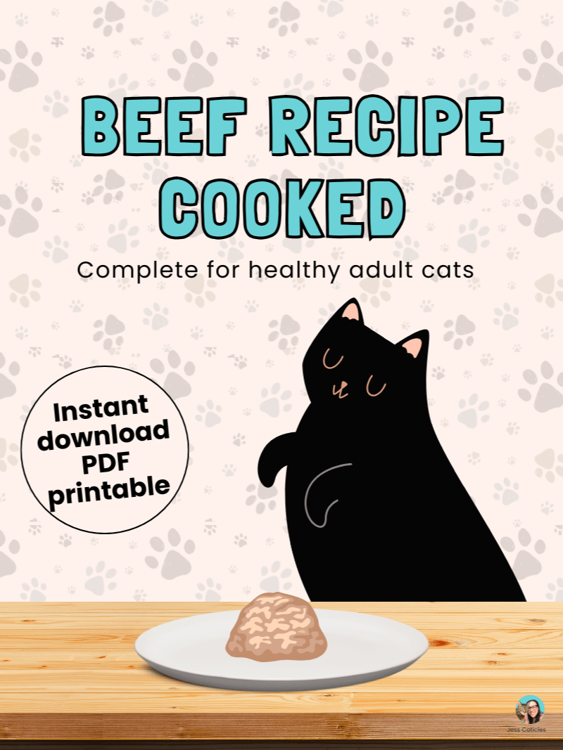 Cooked beef cat food recipe ~ 1 recipe for adult cats product image (1)
