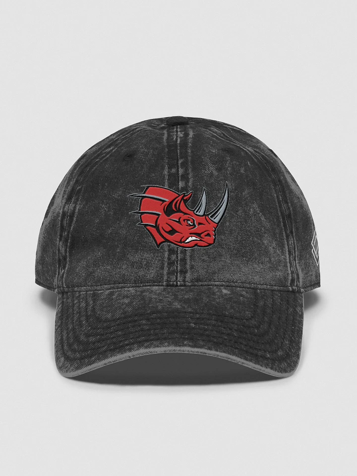 Grand Rapids Rampage Wash Dad's Hat product image (3)