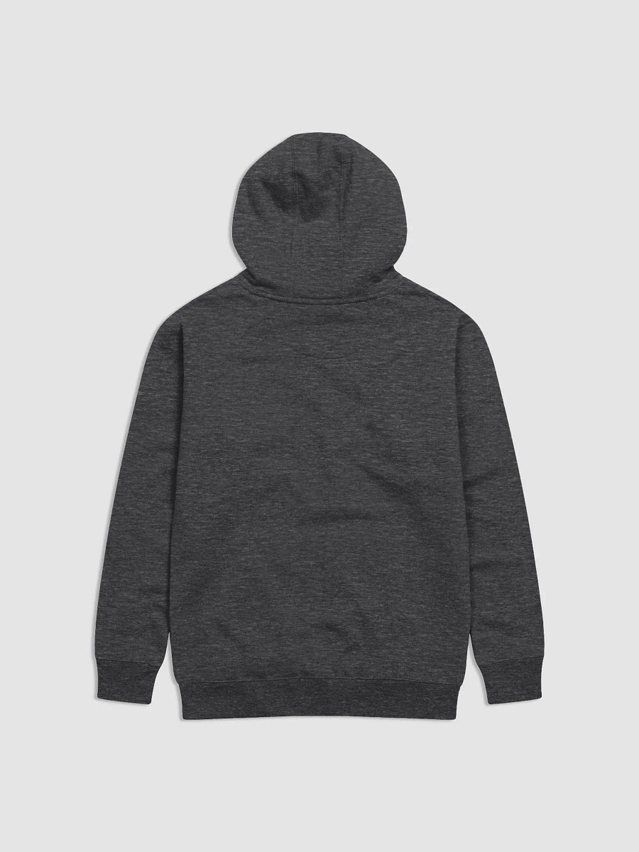 Everything is working out hoodie product image (4)