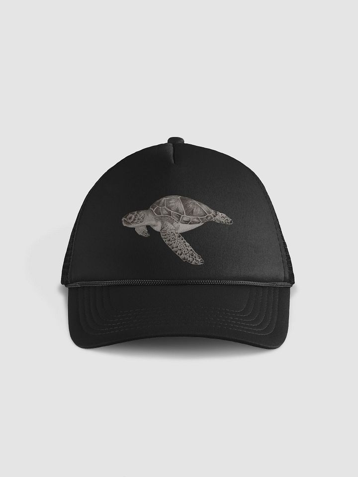 Turtle Drawing Hat product image (1)