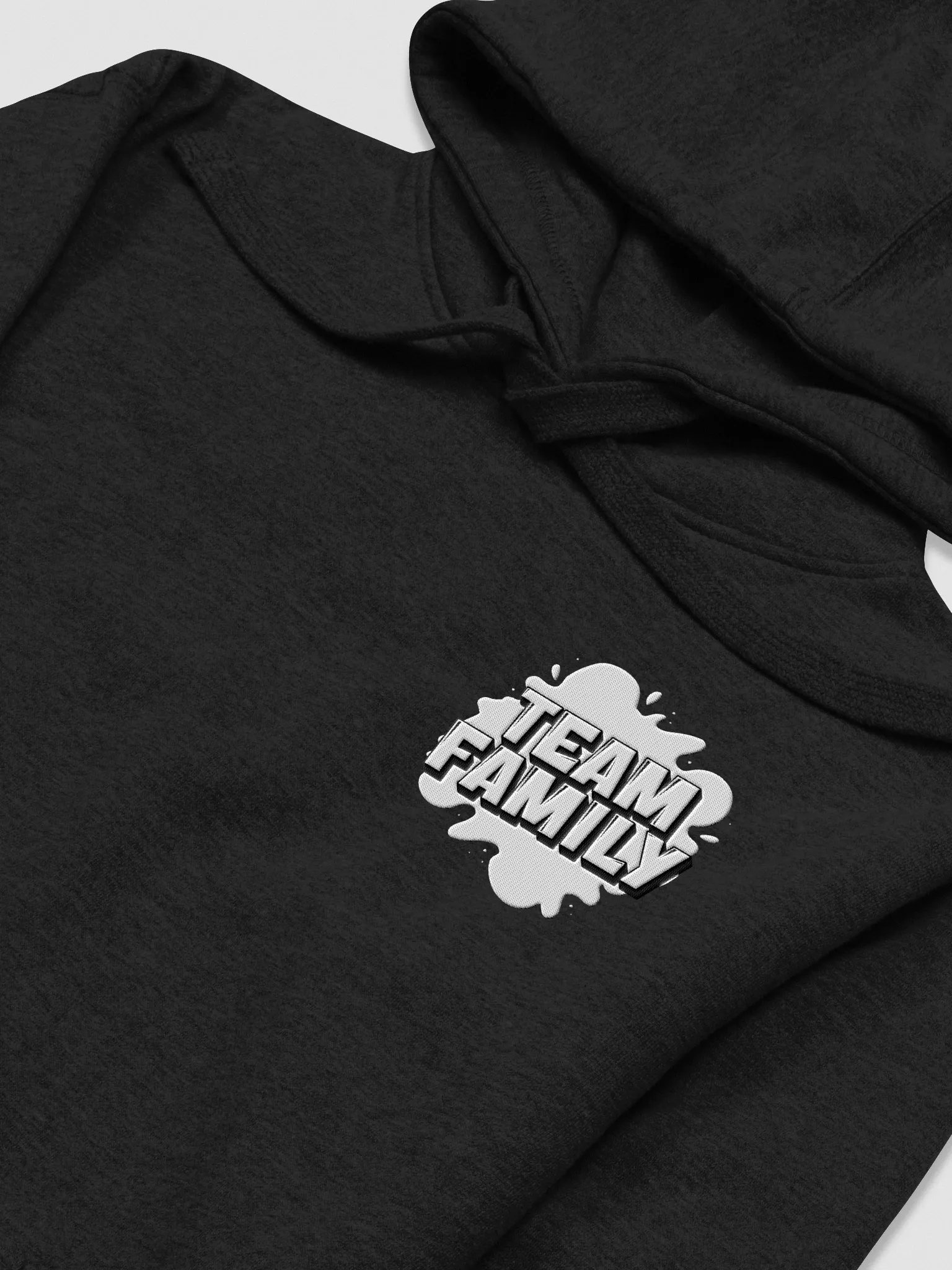 Team Family Embroidered Hoodie product image (37)