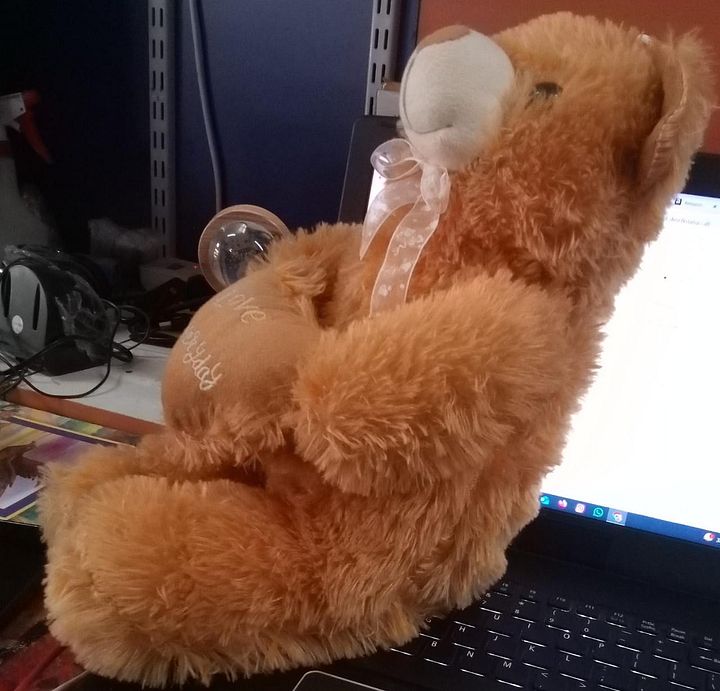 TEDDY BEAR product image (2)