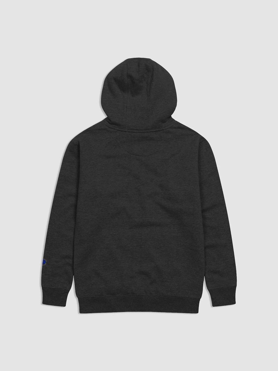 Santas Helper Hoodie product image (14)