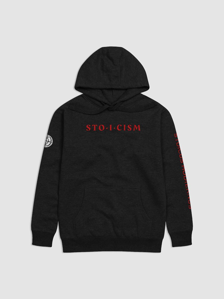 Fortis Favors Hoodie product image (1)