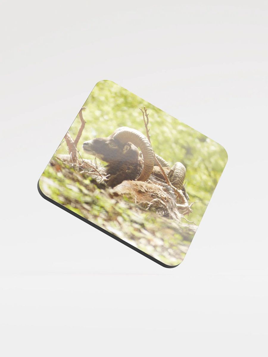 The European mouflon - Glossed Cork Coaster product image (1)