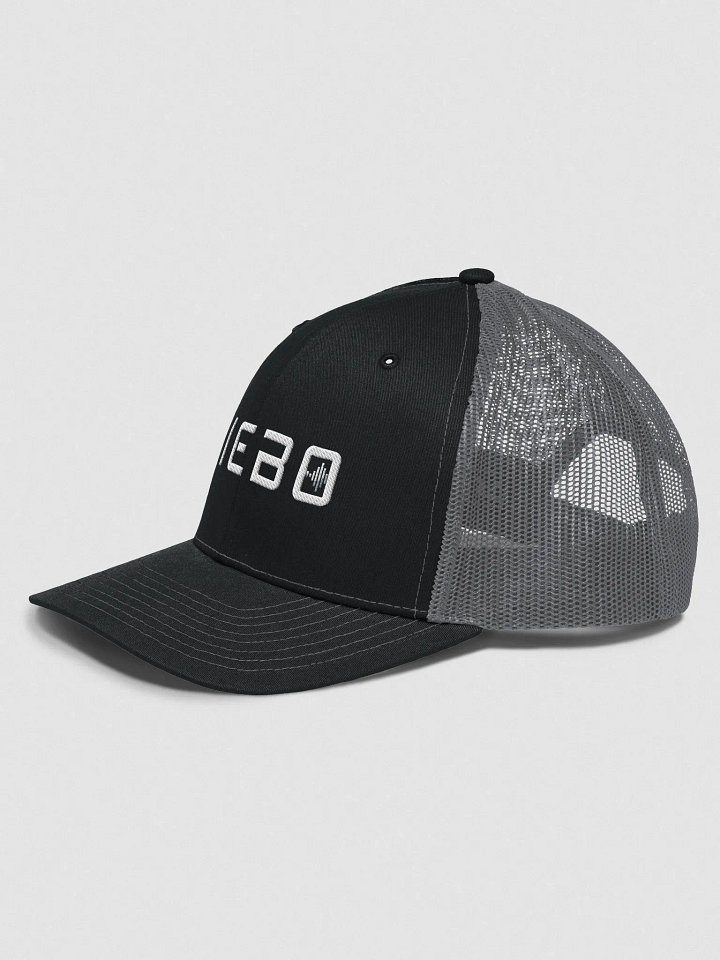 Ball Hat product image (2)