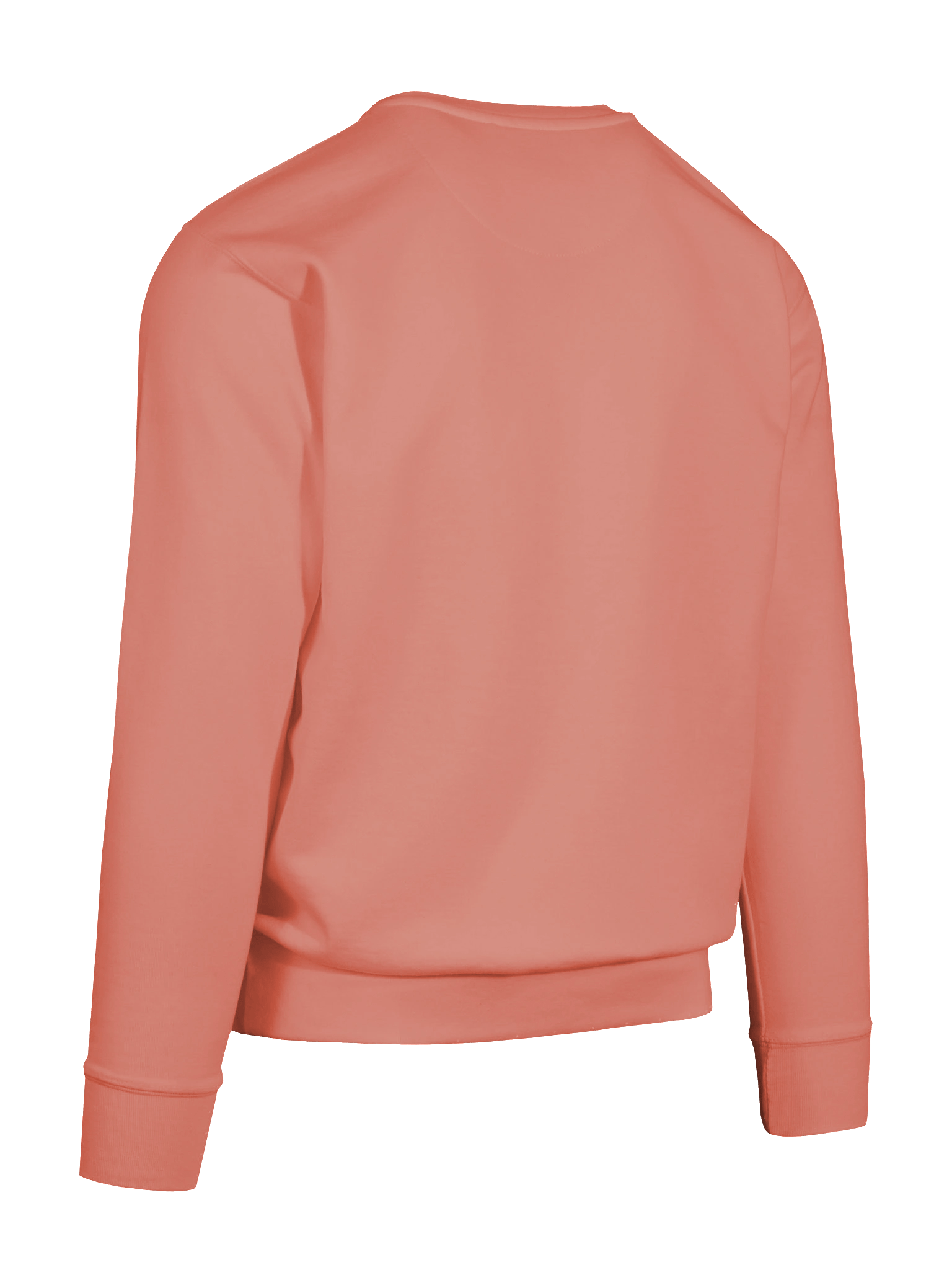 Heathens, Degenerates, Wild Ones, and Friends Sweatshirt (Black Text) product image (12)