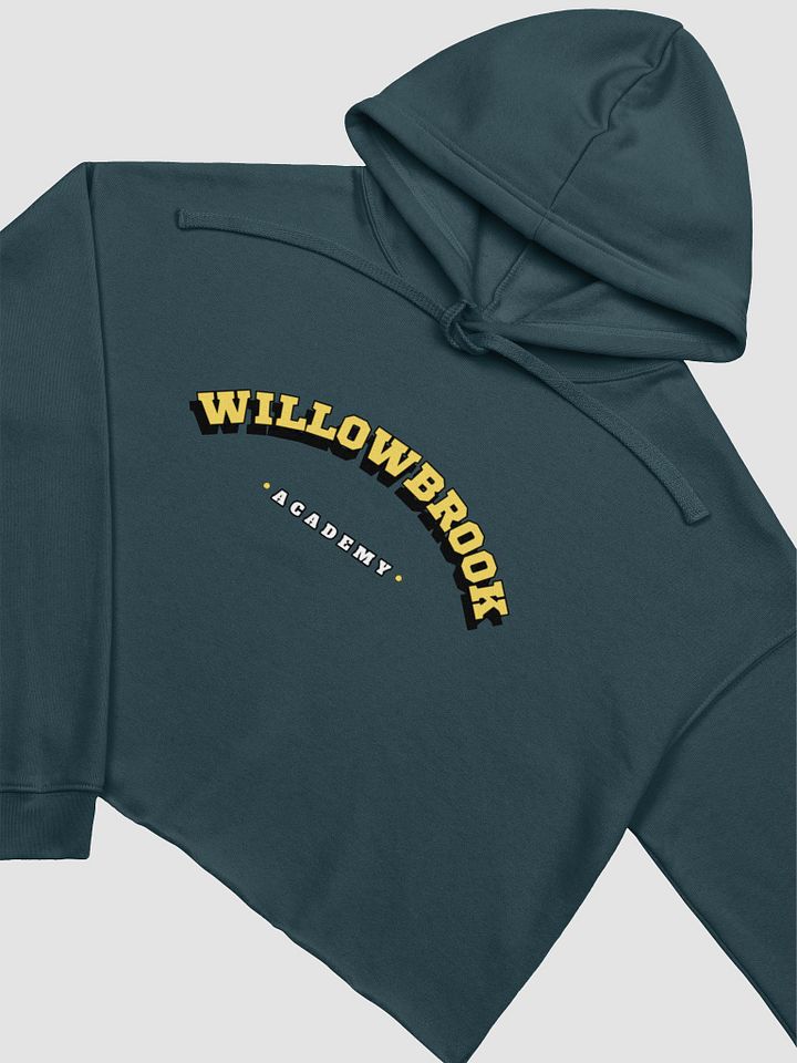 WillowBrook Academy Crop Hoodie product image (1)