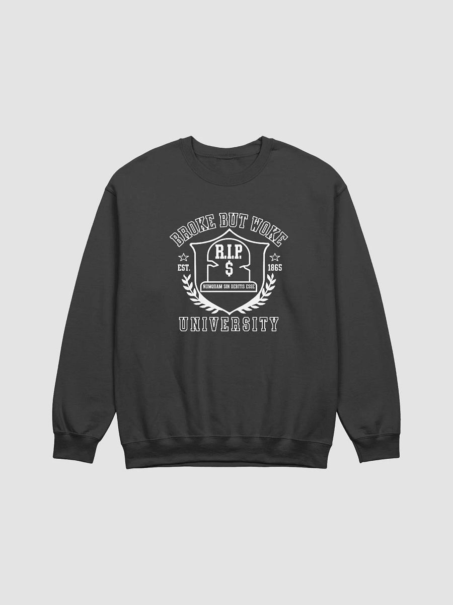 Broke But Woke product image (5)