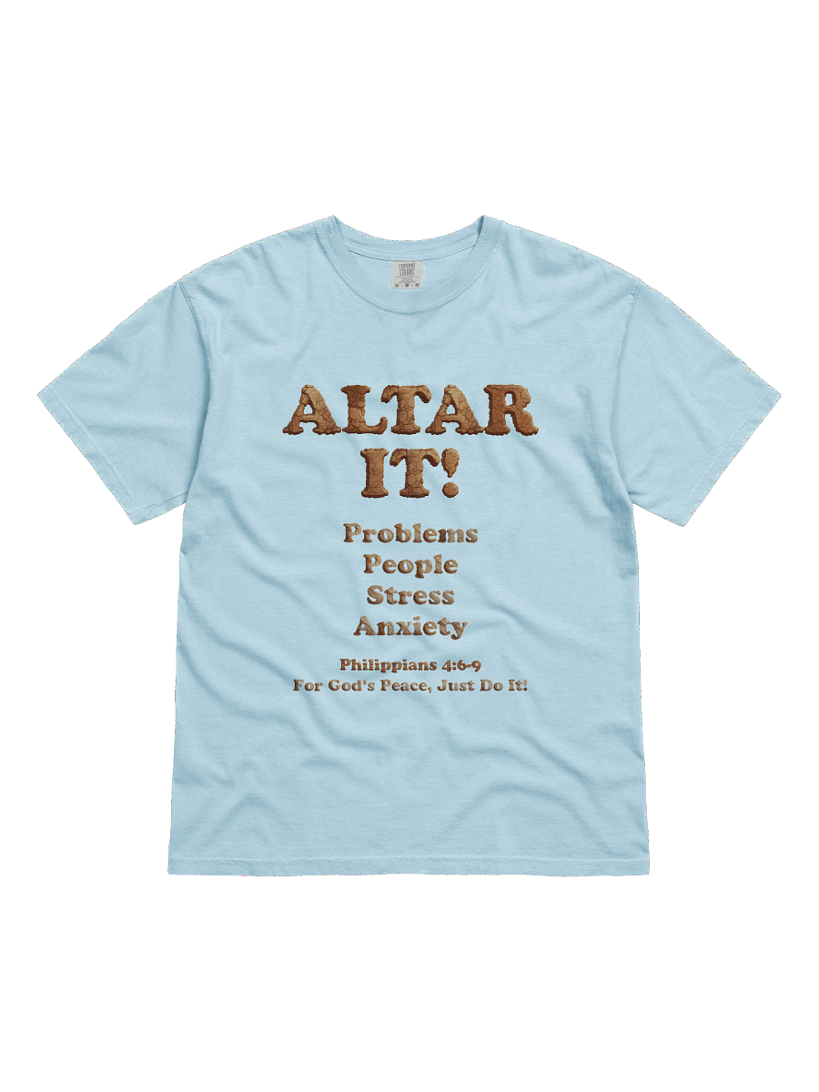 Altar It Relaxed Fit heavyweight T-Shirt product image (13)