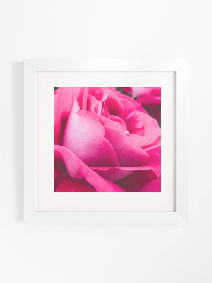 Velvet Rose Framed Poster product image (2)