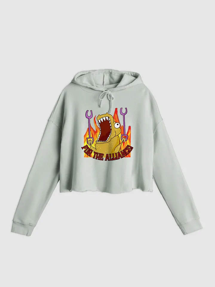 Alliance Crop Hoodie product image (1)