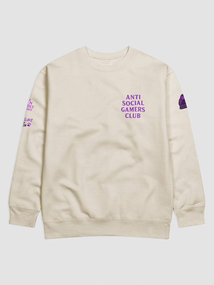Anti Social Gamers Club - Den Family Member Sweatshirt product image (4)