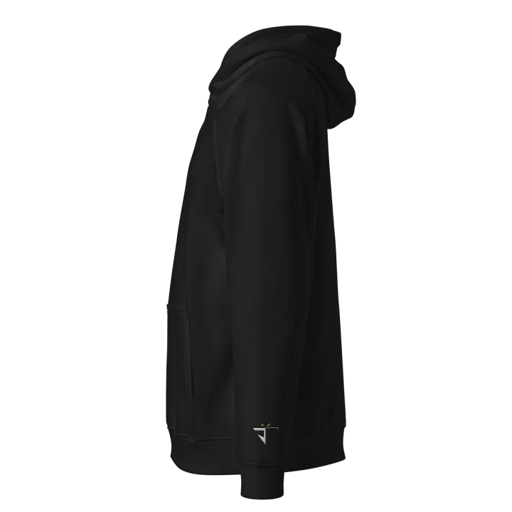 100 Point Club Hoodie product image (2)