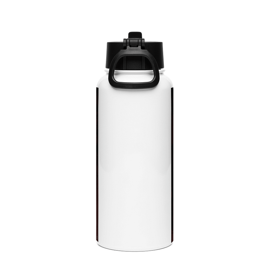 Stainless Steel Water Bottle with a Straw Lid product image (2)