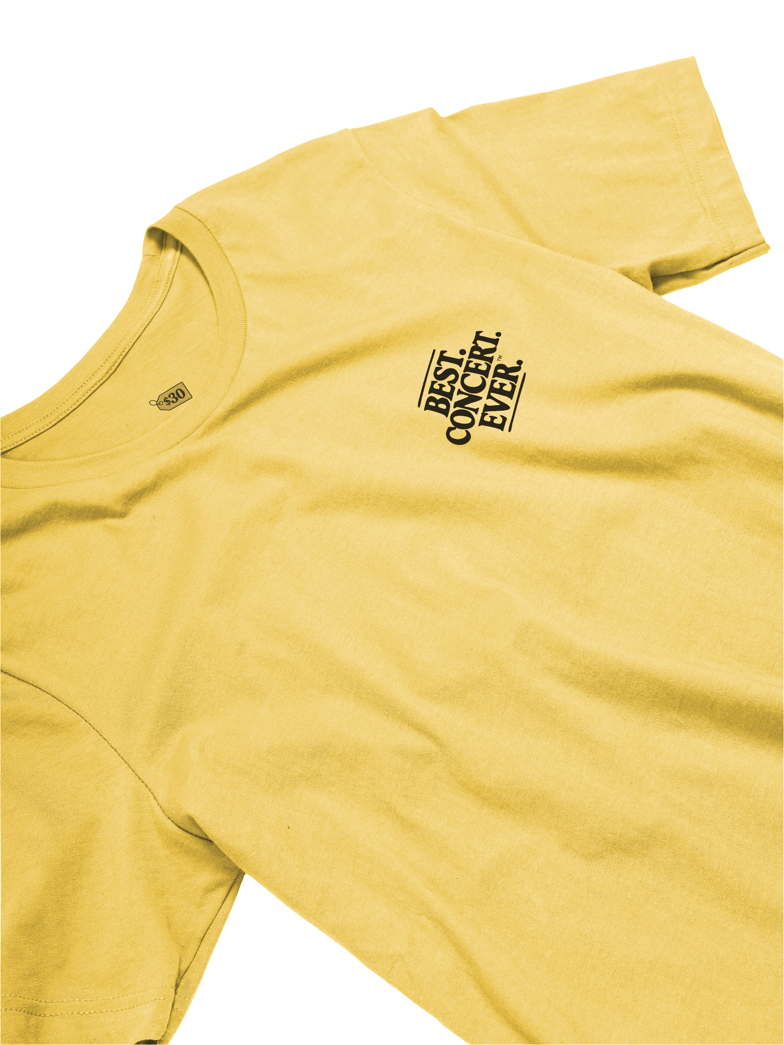 Best. T-Shirt. Ever. (Small Black Logo) product image (3)