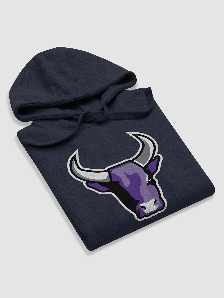 Subscribed Hoodie product image (5)