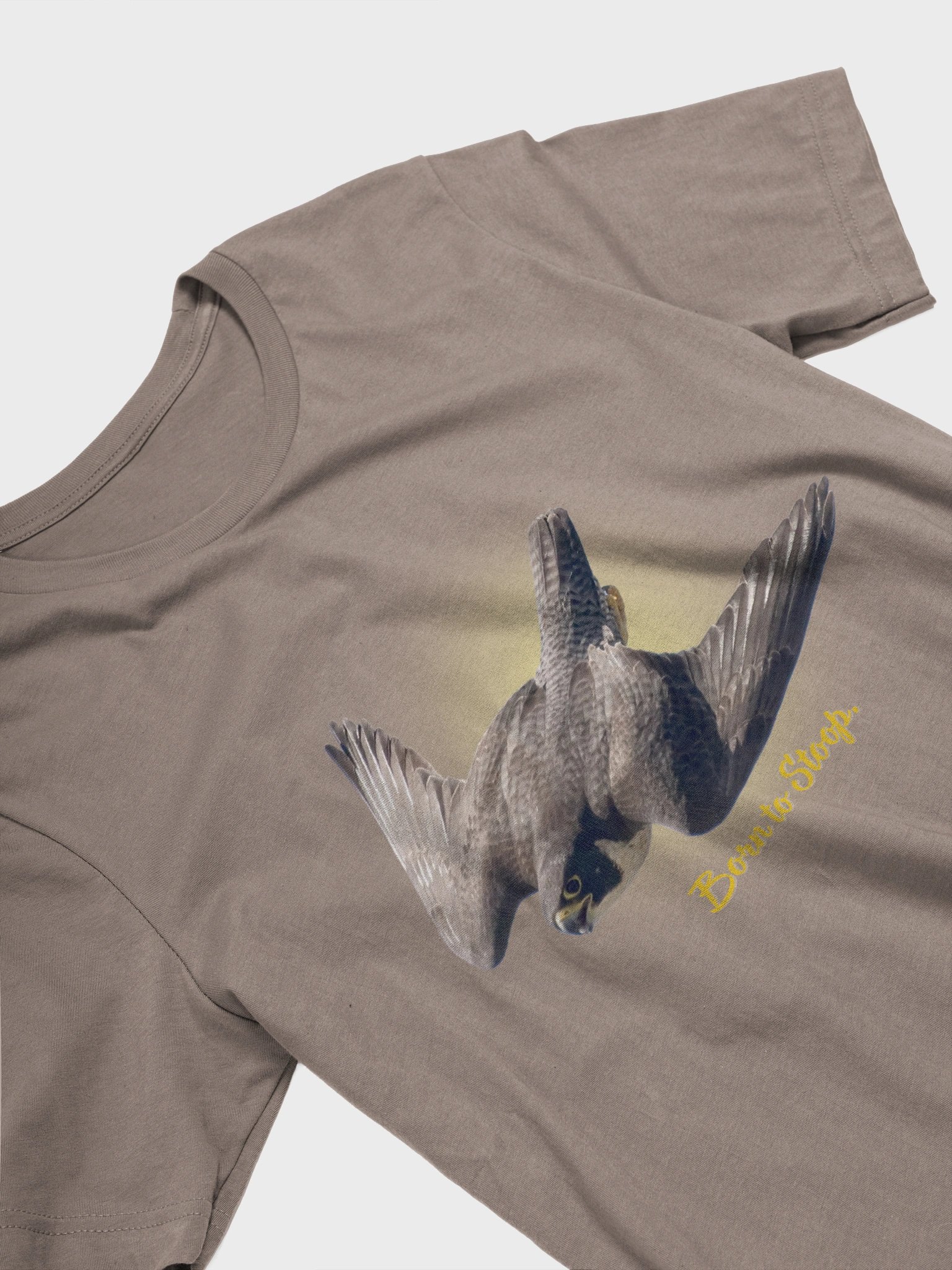 The Wandering Falcon — freedom in motion product image (2)