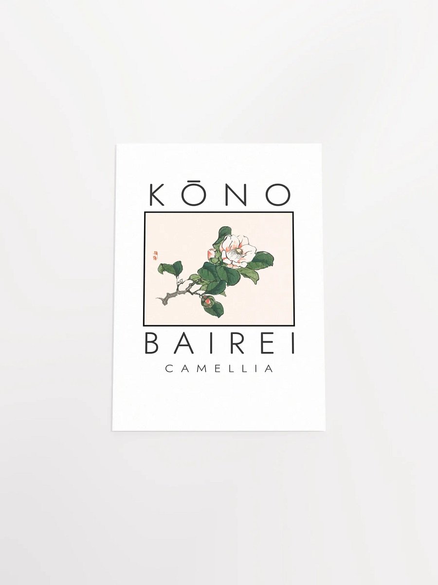 Kono Bairei Camellia Poster product image (5)
