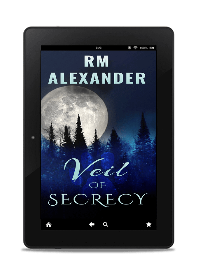 Veil of Secrecy (Shadows Book 1) product image (1)