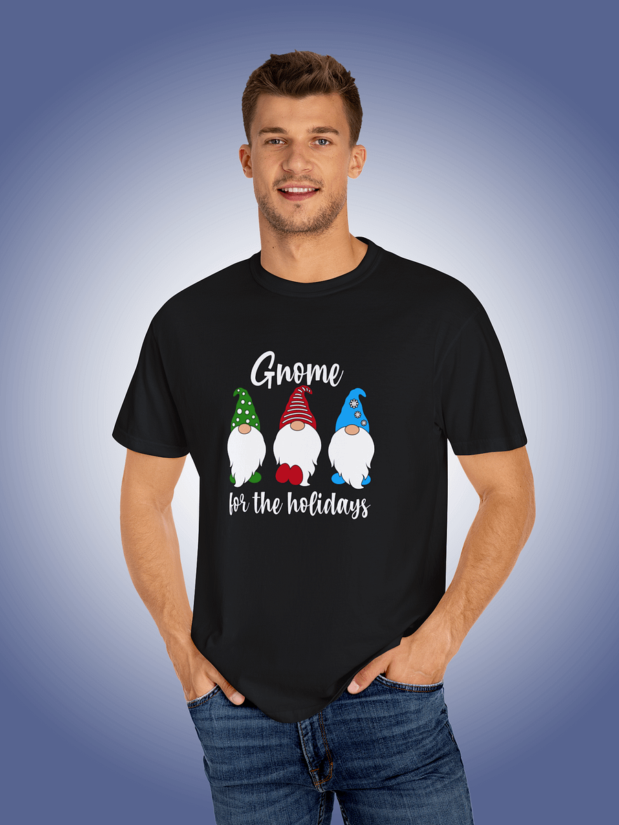 Gnome For The Holidays product image (1)