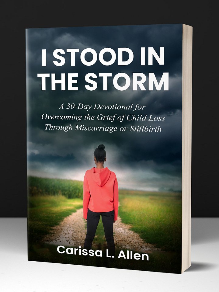 I Stood in the Storm product image (1)