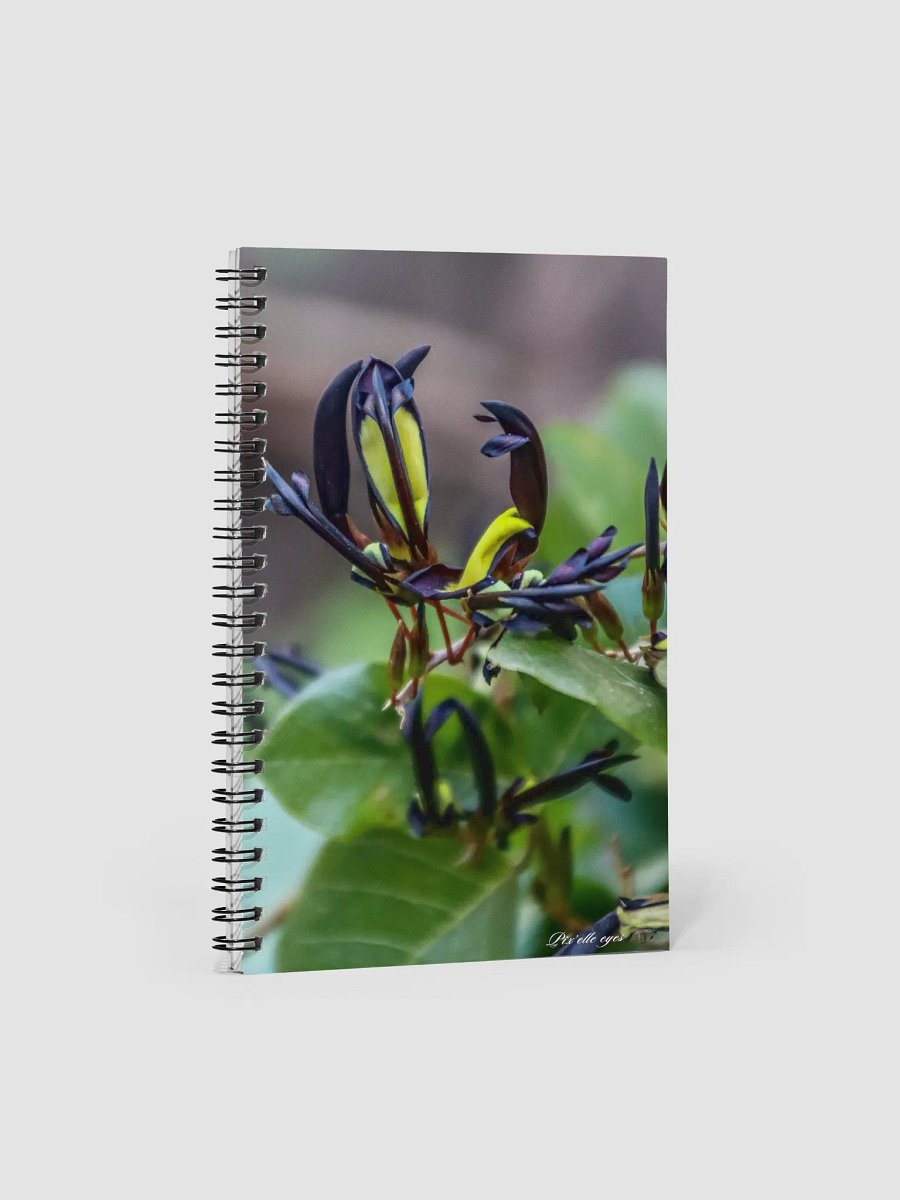 📘 Notebook Collection PURE – Jardin du Rayol – Kennedia nigricans product image (1)