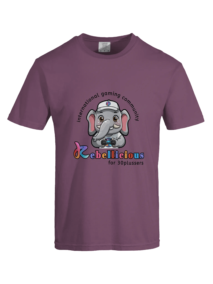 Comfort Colors Gaming T-shirt product image (65)