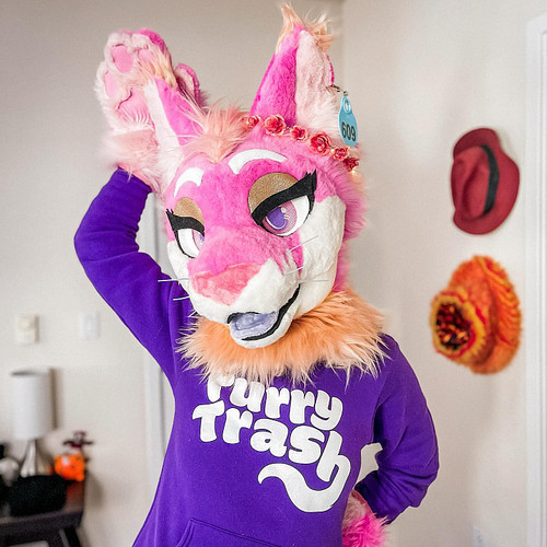 Furry Trash pullover hoodies now available in a variety of colors and sizes!
FurryTrashCo.com
Model: @khoracal 
.
.
.
.
 #fur...