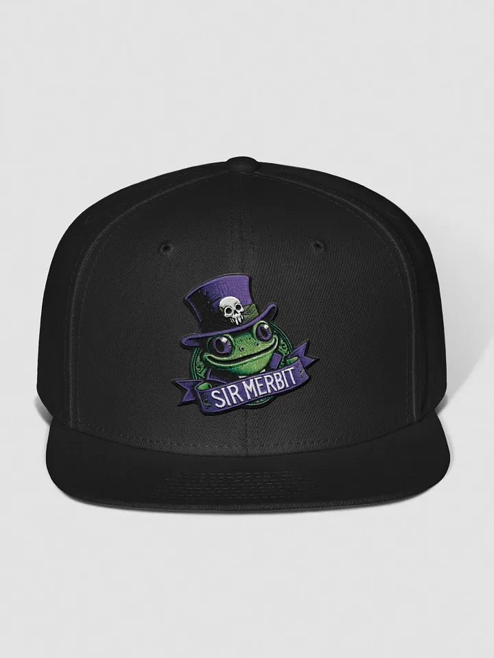Sir Merbit Wool Blend Snapback Cap (Embroidered) product image (1)