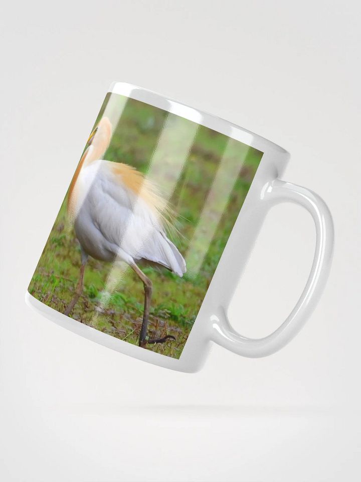 IUCAA Birds MUG product image (2)