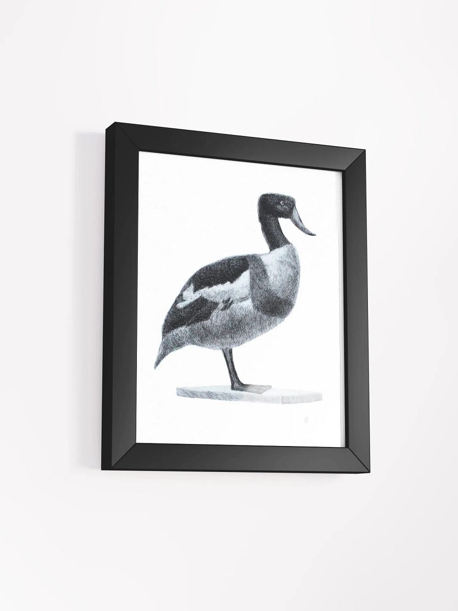 Serene Solitude: Framed Duck Illustration - Duck product image (5)