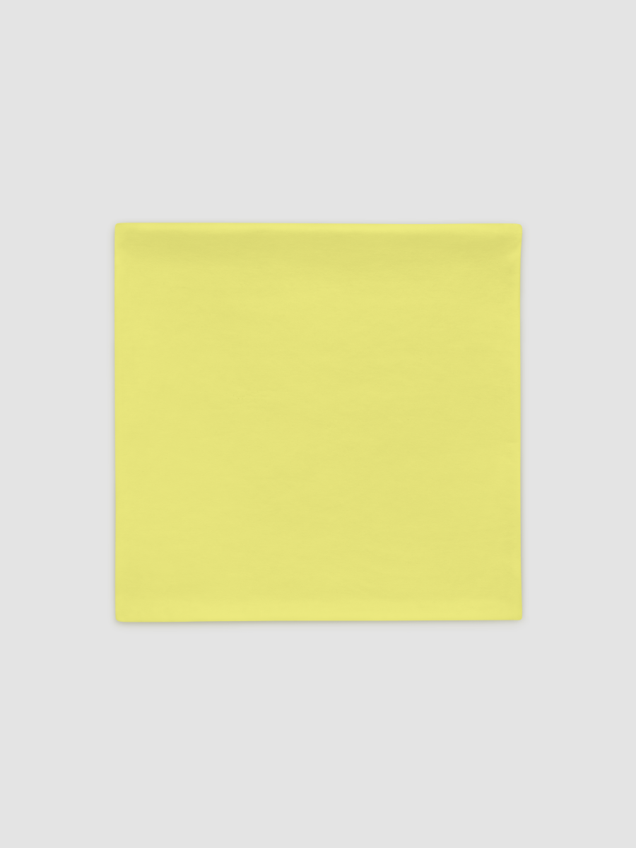Pillow Case - Lan (Yellow) (Tower of Fantasy) product image (2)