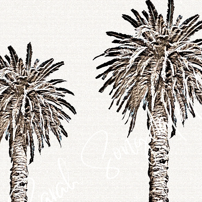 3 Palm Trees - Landscape - Download product image (11)