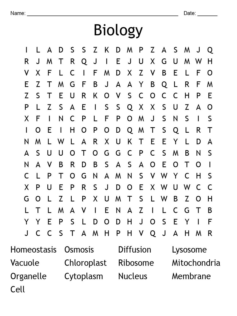 Printable Biology Chapter 7 Word Search – 13 Key Vocabulary Puzzle Activities! product image (1)