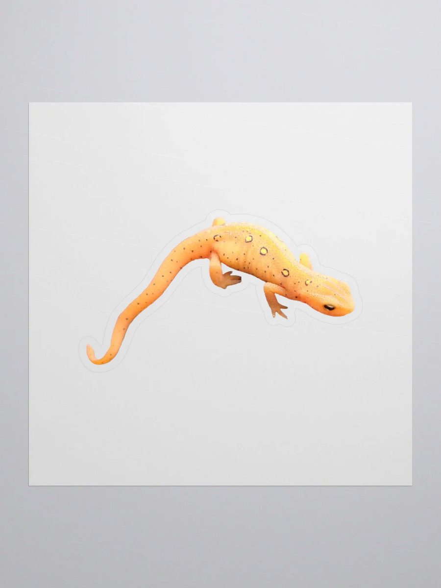 Eastern Newt Kiss Cut Stickers product image (2)