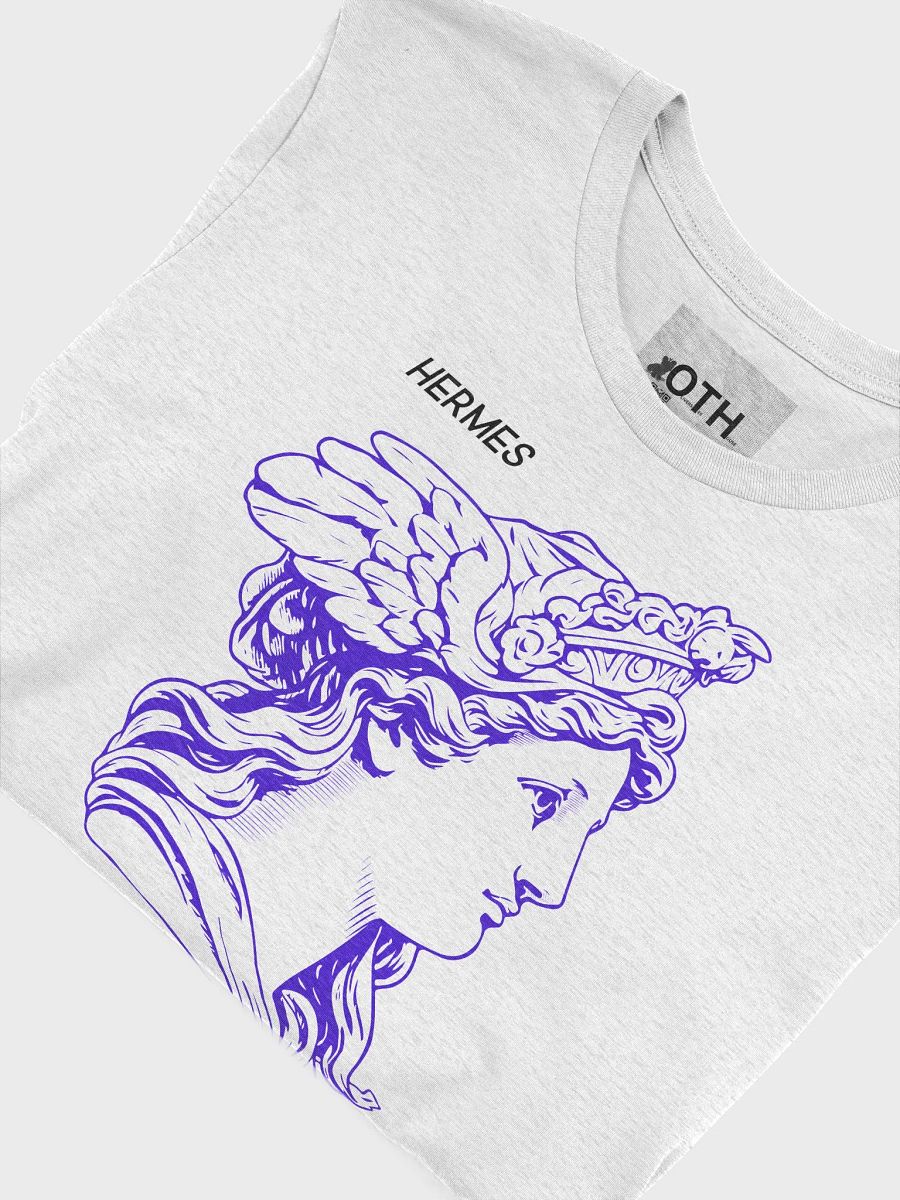 Classical Hermes Bust Illustration Tee product image (4)