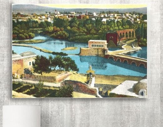 صورة : حماة منظر عام مطلع القرن العشرين product image (1)