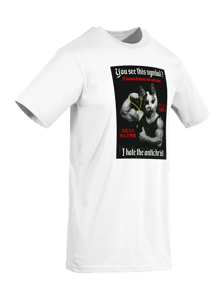 Demons Not Welcome - T Shirt (Heavyweight) product image (9)