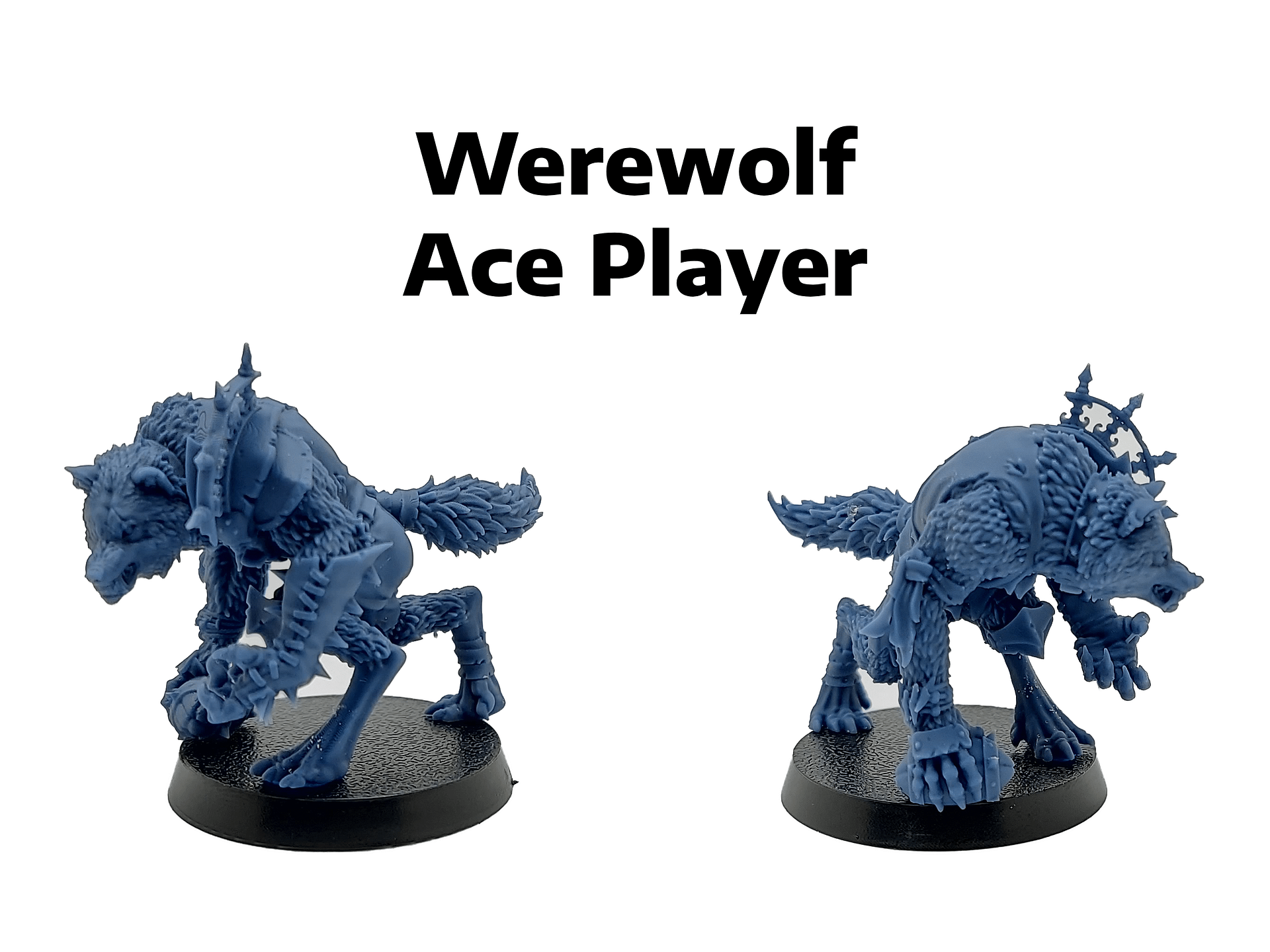 Necromancy Mega Fantasy Football Team - Brutefun Miniatures product image (7)