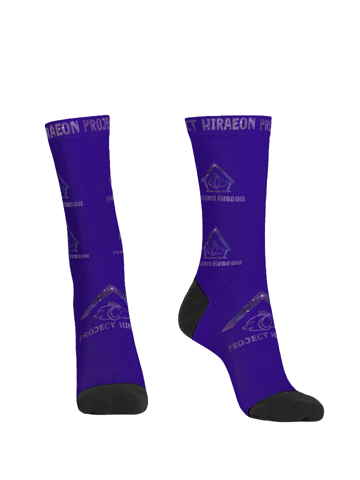 PROJECT HIRAEON SOCKS product image (2)