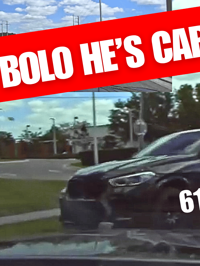 BOLO Therapy (Song, MP3, Wav, Video) product image (1)
