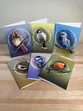 Illustrated Birds Variety Pack Greeting Cards, 5x7” Note Cards, 6 Pack, Blank Inside, with Envelopes product image (1)