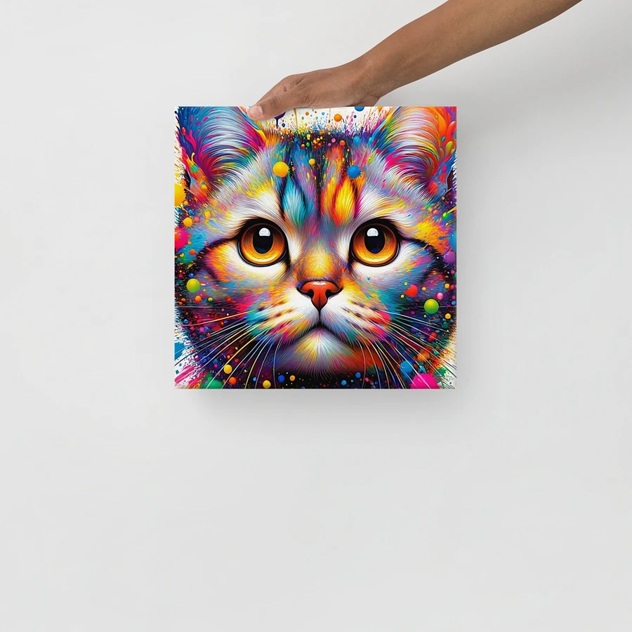 Canvas (in): American Shorthair product image (13)