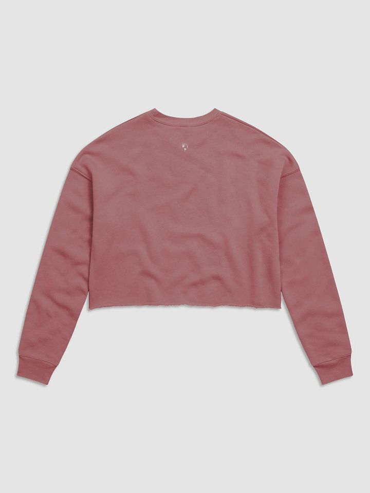 Ladies Cropped Bi Plane Sweatshirt product image (18)
