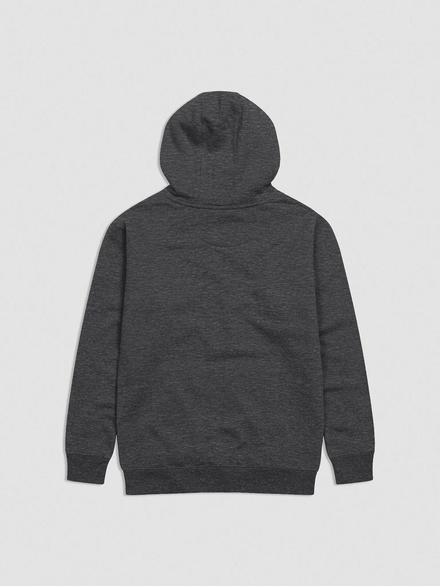 Little Dino Rawr! Hoodie product image (12)