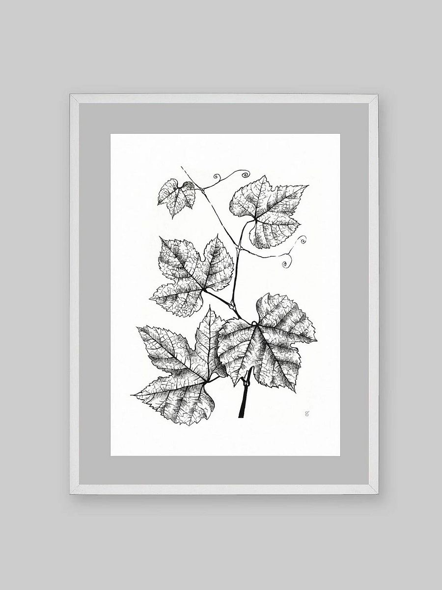 Enchanted Vine: Premium Matte Poster - Grape Leaves product image (11)
