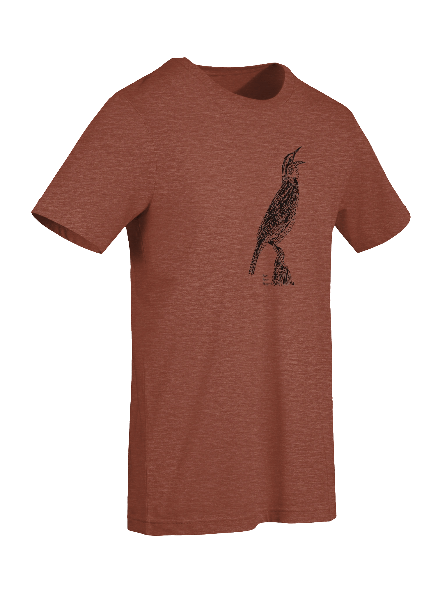 Western Meadowlark Birdwatching Comfort T-shirt product image (97)